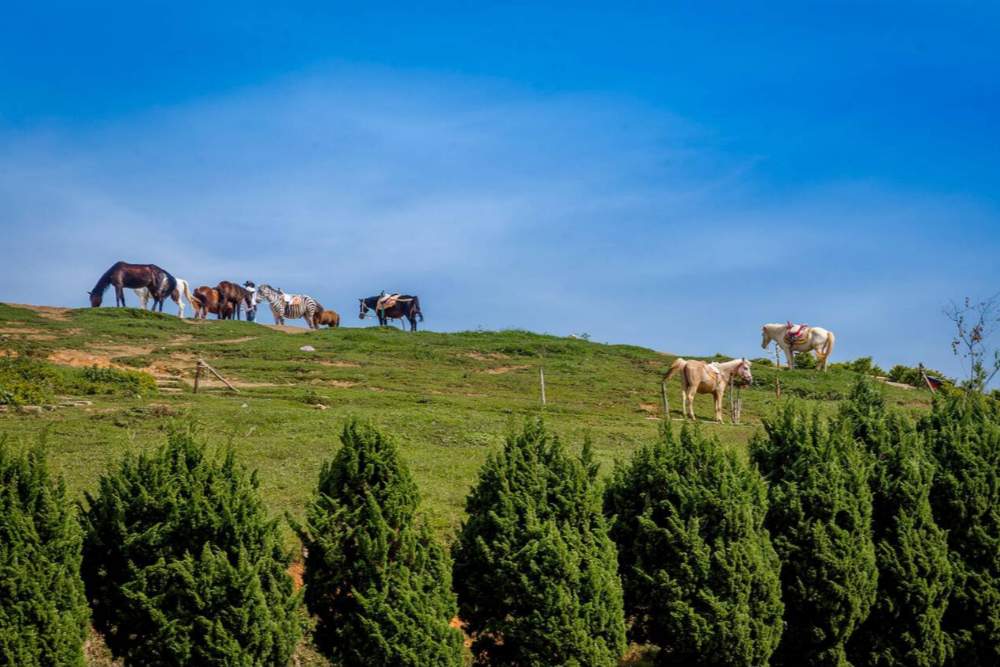 הר לאנגביאנג (Lang Biang Mountain)